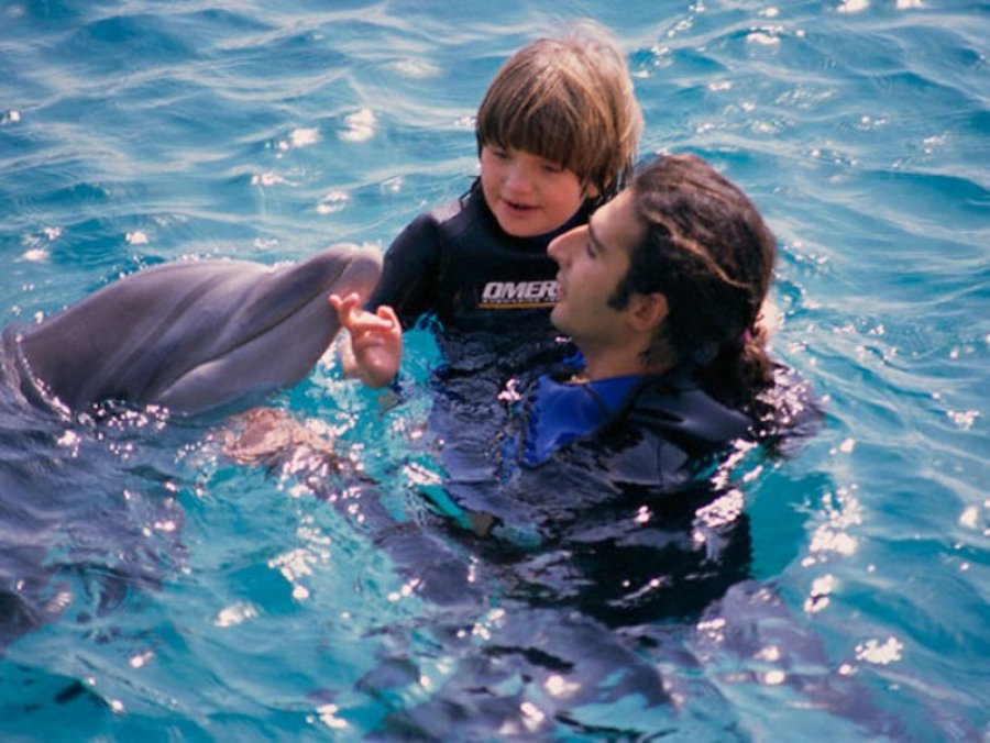 Zabrana plivanja s delfinima stupa na snagu?
