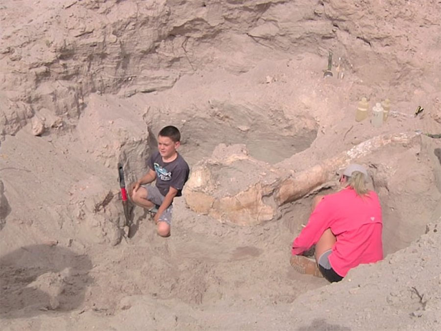 Dječak slučajno otkrio vrijedan fosil
