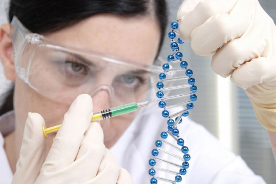Nova istraživanja: Čast zapisana u DNK