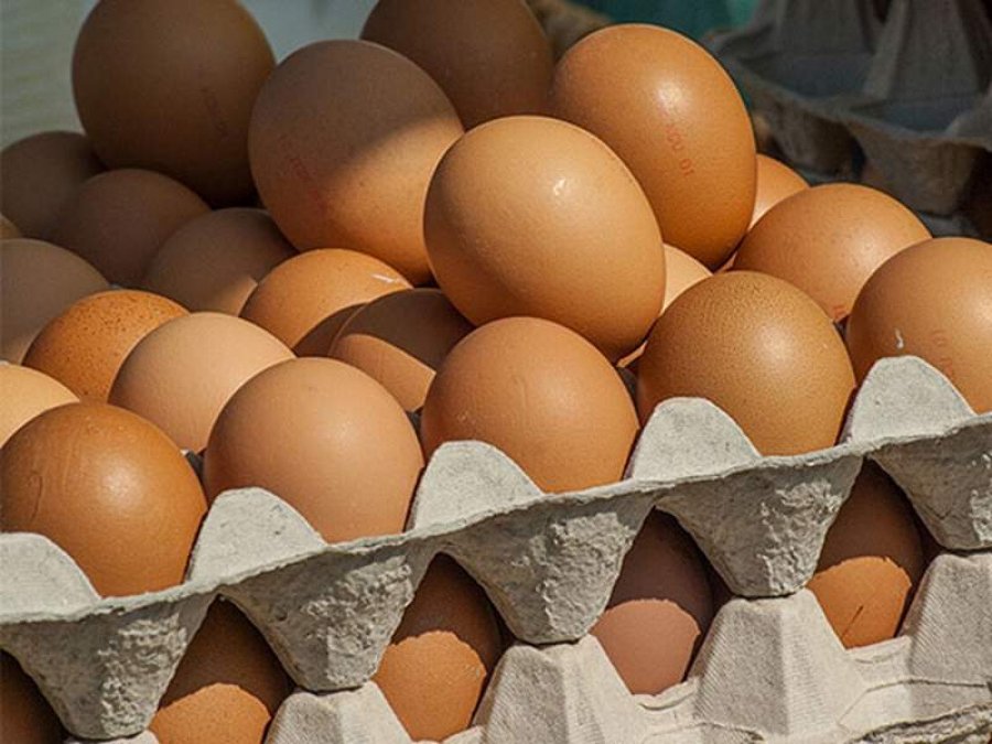 Zatrovana jaja i u istočnoj Evropi