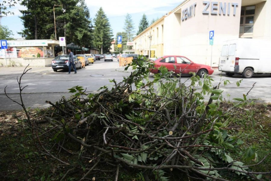 Drvo se srušilo na auto kod 'Zenita' u Banjaluci