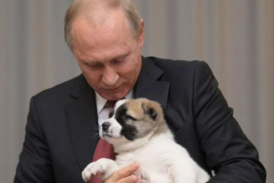 Vladimir Putin dobio neodoljivo štene za 65. rođendan