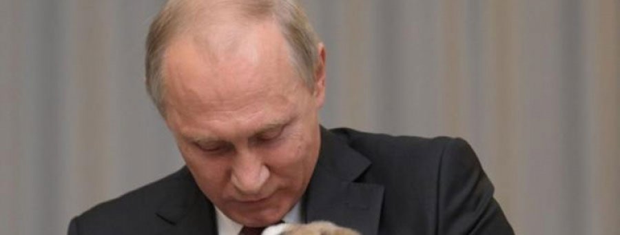 Vladimir Putin dobio neodoljivo štene za 65. rođendan
