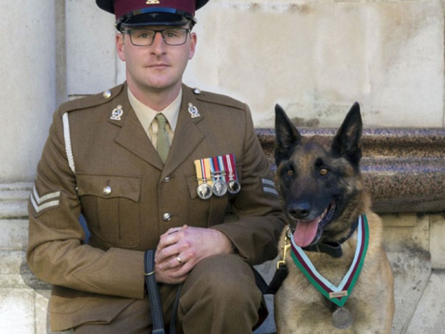 Pas britanske vojske nagrađen za hrabrost