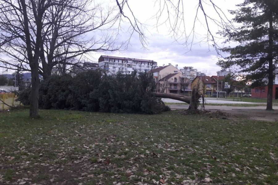 Banjaluku poharalo nevrijeme: Vjetar rušio stabla po gradu, na Obilićevu pao krov