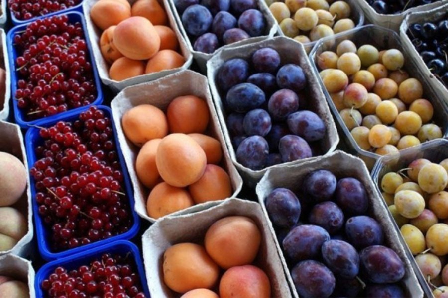 Dojčinović: Upitan dalji izvoz voća u Rusiju u ovoj godini
