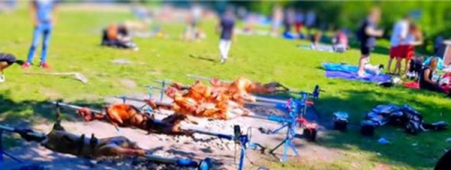 Balkanci pekli jagnje u parku, uznemireni Nijemci zvali policiju