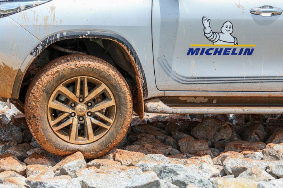 Michelin traži način da izradi gumu od drveta