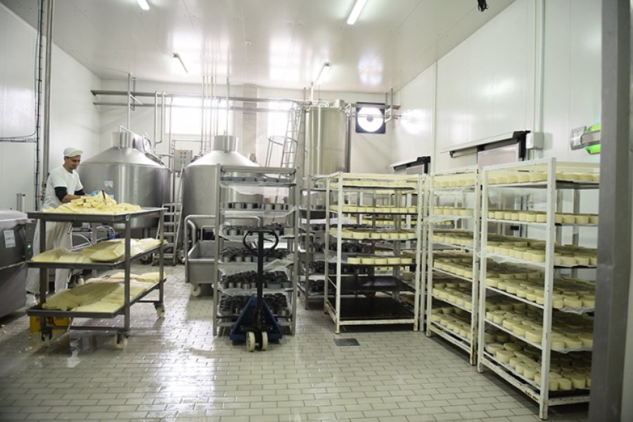 EU otvorila vrata i mliječnim proizvodima, slijedi borba za tržište