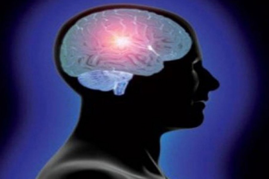 Stres smanjuje obim mozga i vodi u demenciju