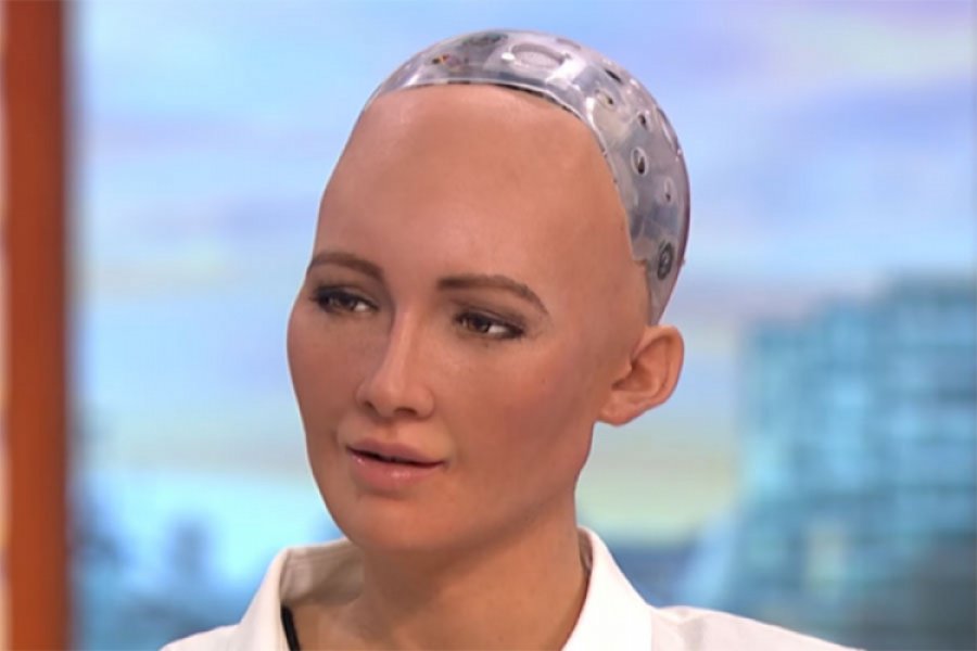 Sofija dobila robotsku vizu