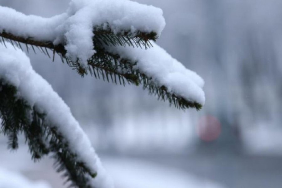 Kakvo nas vrijeme očekuje do polovine februara?