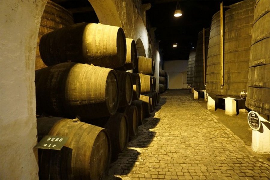 U Strazburu se čuva najstarije vino na svijetu