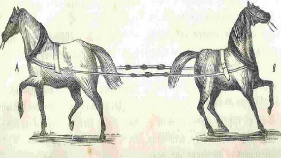 Tekst iz 1869: Kako neukog konja naučiti da tegli
