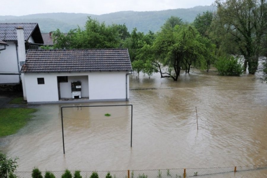 Koje voće i povrće nakon poplava nije za ishranu