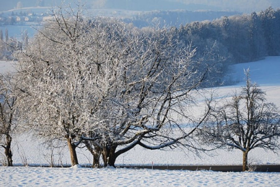 Šta kažu meteorolozi: Kakva nas zima očekuje?