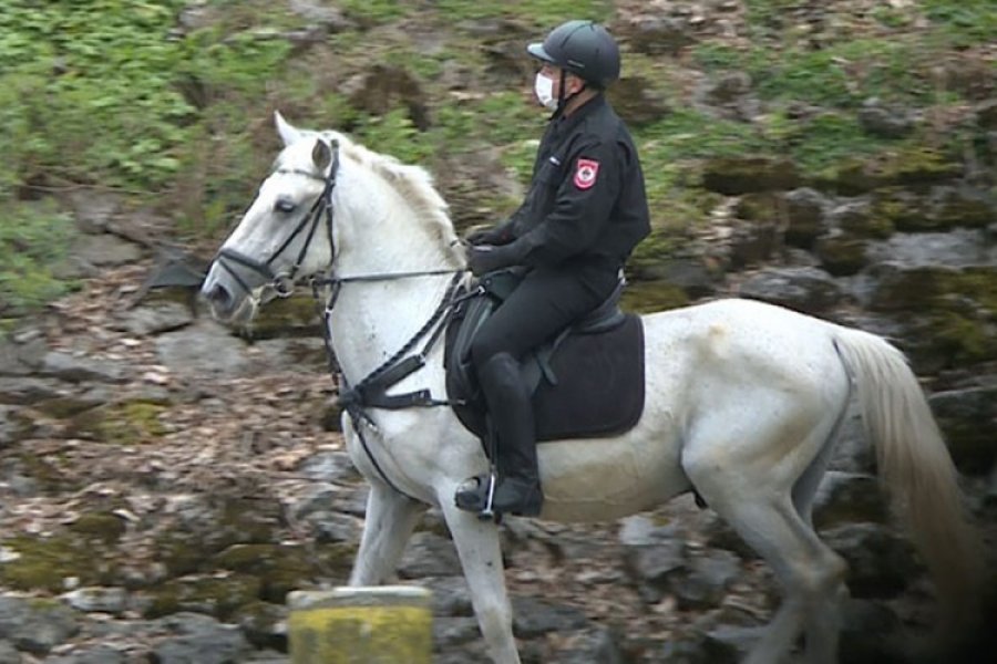Policajci na konjima u parku Mladen Stojanović upozoravaju građane