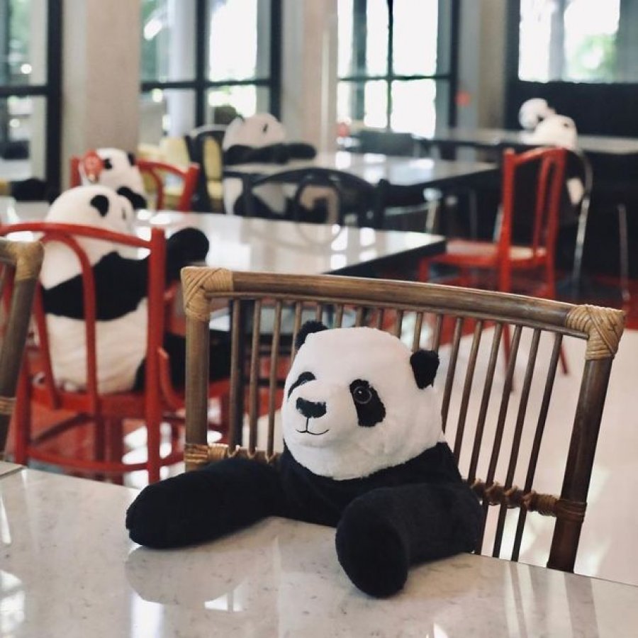 U vijetnamskom restoranu socijalnu distancu održavaju plišanim pandama
