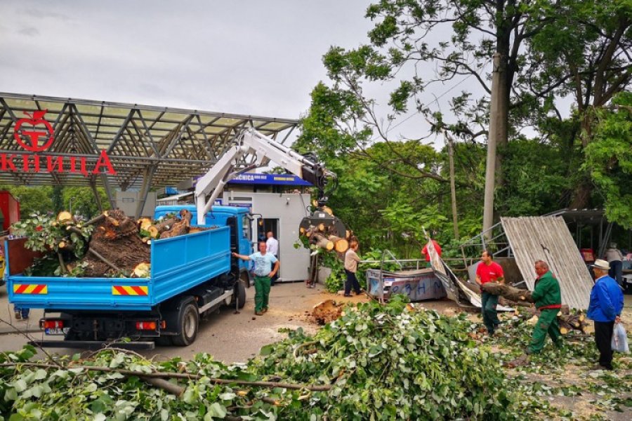 Nevrijeme napravilo haos u Banjaluci: Padalo drveće, oštećen auto