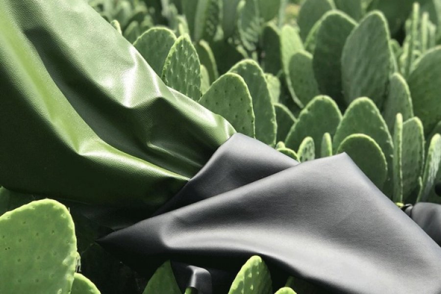 Koža od kaktusa - inovacija u industriji biorazgradivog tekstila