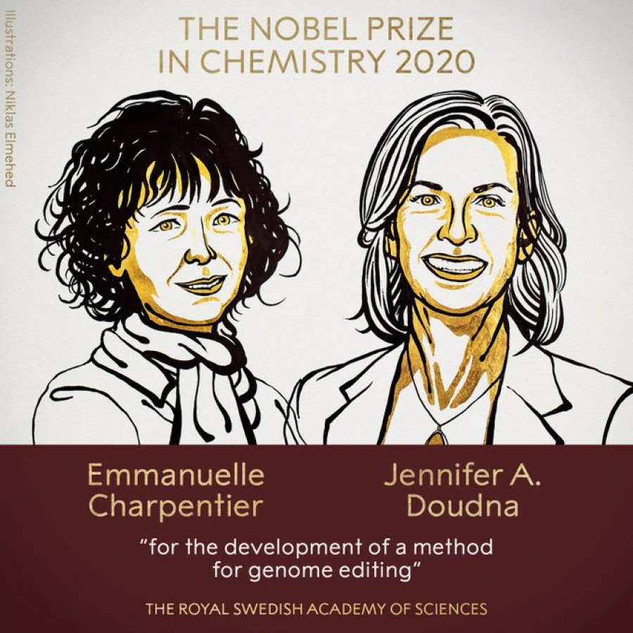 Nobelova nagrada za razvoj metode inženjeringa genoma