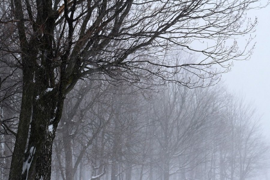 Narandžasti meteoalarm zbog jakog vjetra u dijelovima BiH