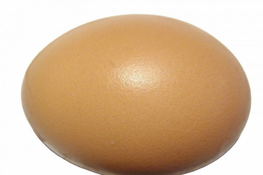 Otkrili netaknuto kokošje jaje staro 1.000 godina