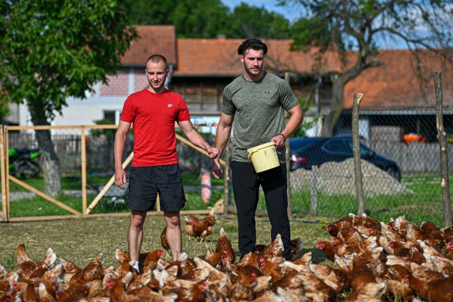 "Farma 5 jaja" senzacija na društvenim mrežama, pogledajte zašto