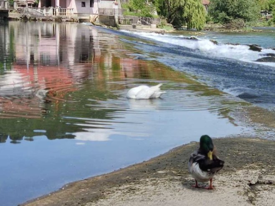 Veoma toplo, naveče naoblačenje