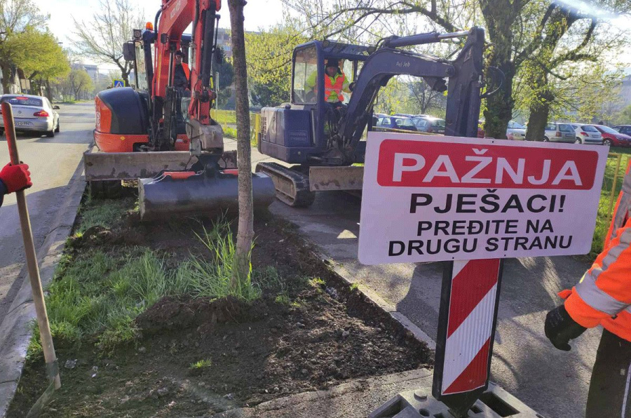 Počela sadnja 110 sadnica u Bulevaru Stepe Stepanovića
