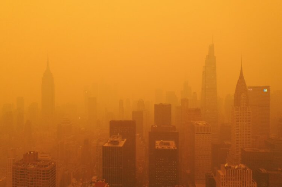 New York se suočava sa nezampaćenim problemom