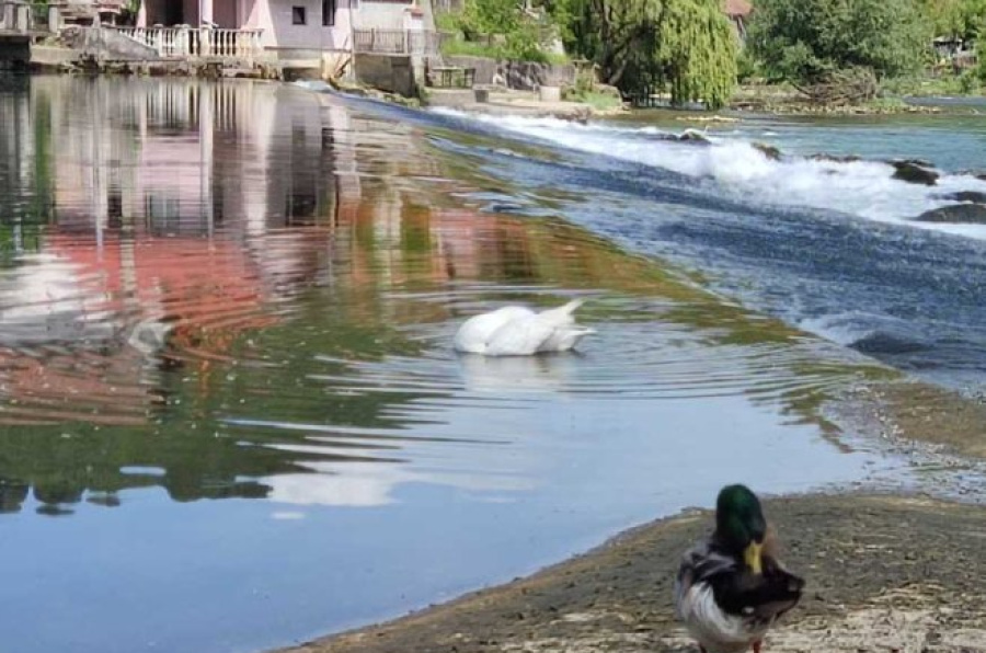 Veoma toplo, naveče naoblačenje