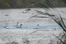 Meteorolozi najavili zahlađenje: Moguće i prve pahulje